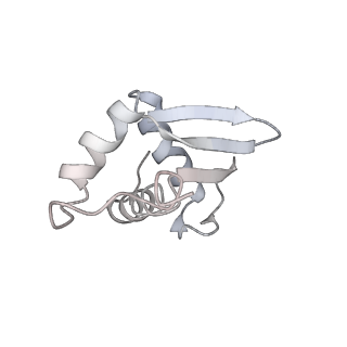 13749_7q0p_L_v1-1
Structure of the Candida albicans 80S ribosome in complex with anisomycin