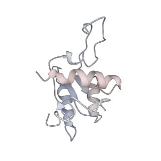 13749_7q0p_N_v1-1
Structure of the Candida albicans 80S ribosome in complex with anisomycin