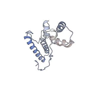 13749_7q0p_O_v1-1
Structure of the Candida albicans 80S ribosome in complex with anisomycin