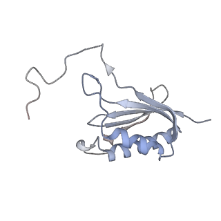 13749_7q0p_P_v1-1
Structure of the Candida albicans 80S ribosome in complex with anisomycin