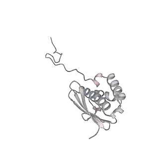 13749_7q0p_R_v1-1
Structure of the Candida albicans 80S ribosome in complex with anisomycin