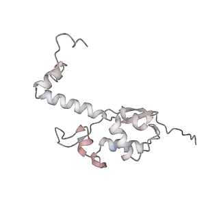 13749_7q0p_T_v1-1
Structure of the Candida albicans 80S ribosome in complex with anisomycin