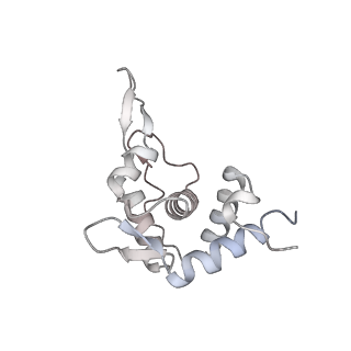 13749_7q0p_U_v1-1
Structure of the Candida albicans 80S ribosome in complex with anisomycin