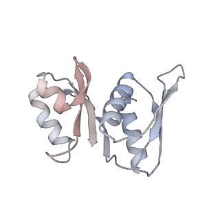 13749_7q0p_X_v1-1
Structure of the Candida albicans 80S ribosome in complex with anisomycin