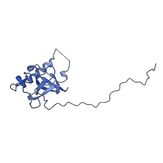 13749_7q0p_n_v1-1
Structure of the Candida albicans 80S ribosome in complex with anisomycin