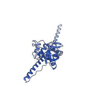 13749_7q0p_o_v1-1
Structure of the Candida albicans 80S ribosome in complex with anisomycin