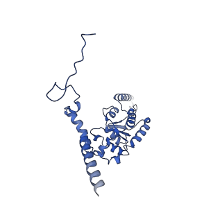 13749_7q0p_p_v1-1
Structure of the Candida albicans 80S ribosome in complex with anisomycin
