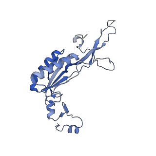 13749_7q0p_r_v1-1
Structure of the Candida albicans 80S ribosome in complex with anisomycin