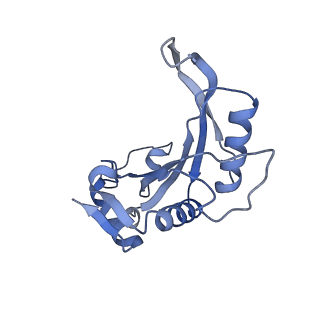 13749_7q0p_s_v1-1
Structure of the Candida albicans 80S ribosome in complex with anisomycin