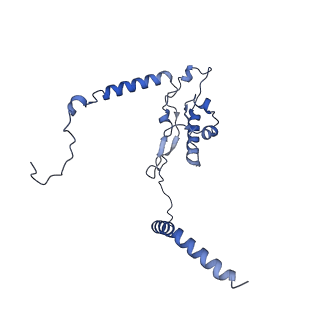 13749_7q0p_t_v1-1
Structure of the Candida albicans 80S ribosome in complex with anisomycin