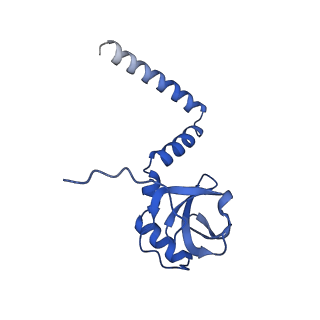 13749_7q0p_u_v1-1
Structure of the Candida albicans 80S ribosome in complex with anisomycin