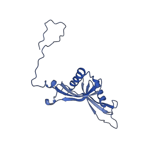 13750_7q0r_0_v1-1
Structure of the Candida albicans 80S ribosome in complex with blasticidin s