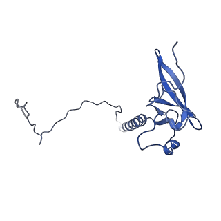 13750_7q0r_2_v1-1
Structure of the Candida albicans 80S ribosome in complex with blasticidin s