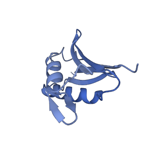 13750_7q0r_5_v1-1
Structure of the Candida albicans 80S ribosome in complex with blasticidin s