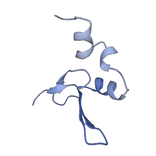 13750_7q0r_7_v1-1
Structure of the Candida albicans 80S ribosome in complex with blasticidin s