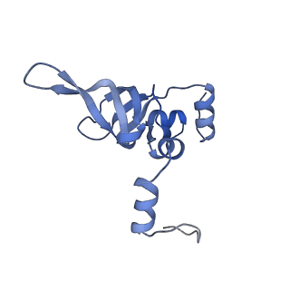 13750_7q0r_9_v1-1
Structure of the Candida albicans 80S ribosome in complex with blasticidin s