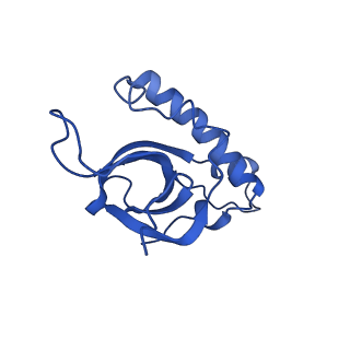 13750_7q0r_AA_v1-1
Structure of the Candida albicans 80S ribosome in complex with blasticidin s