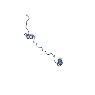 13750_7q0r_AC_v1-1
Structure of the Candida albicans 80S ribosome in complex with blasticidin s