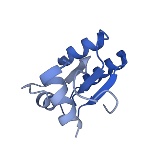 13750_7q0r_AD_v1-1
Structure of the Candida albicans 80S ribosome in complex with blasticidin s