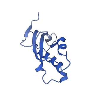 13750_7q0r_AE_v1-1
Structure of the Candida albicans 80S ribosome in complex with blasticidin s