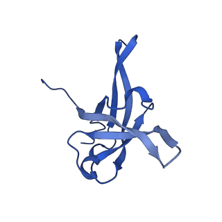 13750_7q0r_AG_v1-1
Structure of the Candida albicans 80S ribosome in complex with blasticidin s