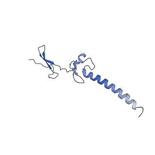 13750_7q0r_AH_v1-1
Structure of the Candida albicans 80S ribosome in complex with blasticidin s