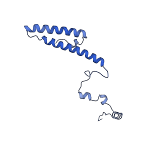 13750_7q0r_AI_v1-1
Structure of the Candida albicans 80S ribosome in complex with blasticidin s