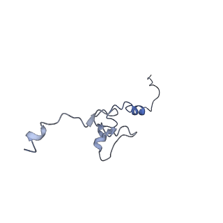 13750_7q0r_AK_v1-1
Structure of the Candida albicans 80S ribosome in complex with blasticidin s