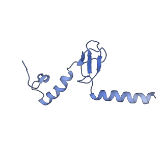 13750_7q0r_AQ_v1-1
Structure of the Candida albicans 80S ribosome in complex with blasticidin s