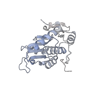 13750_7q0r_B_v1-1
Structure of the Candida albicans 80S ribosome in complex with blasticidin s
