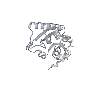 13750_7q0r_C_v1-1
Structure of the Candida albicans 80S ribosome in complex with blasticidin s