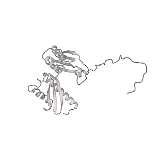 13750_7q0r_E_v1-1
Structure of the Candida albicans 80S ribosome in complex with blasticidin s