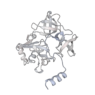 13750_7q0r_F_v1-1
Structure of the Candida albicans 80S ribosome in complex with blasticidin s