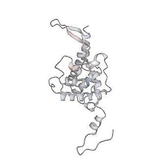 13750_7q0r_G_v1-1
Structure of the Candida albicans 80S ribosome in complex with blasticidin s