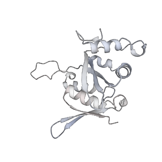 13750_7q0r_I_v1-1
Structure of the Candida albicans 80S ribosome in complex with blasticidin s
