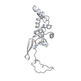 13750_7q0r_J_v1-1
Structure of the Candida albicans 80S ribosome in complex with blasticidin s