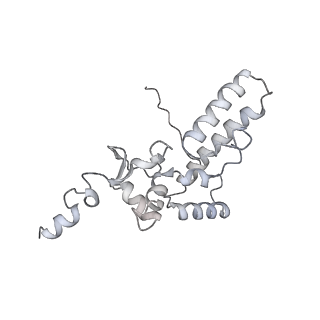 13750_7q0r_K_v1-1
Structure of the Candida albicans 80S ribosome in complex with blasticidin s