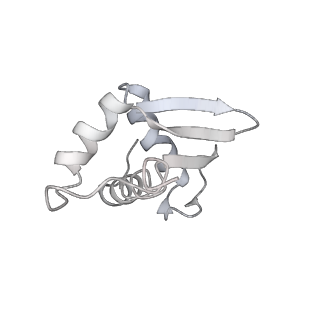 13750_7q0r_L_v1-1
Structure of the Candida albicans 80S ribosome in complex with blasticidin s