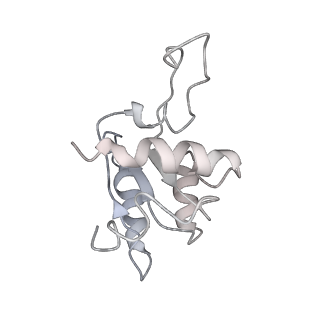 13750_7q0r_N_v1-1
Structure of the Candida albicans 80S ribosome in complex with blasticidin s