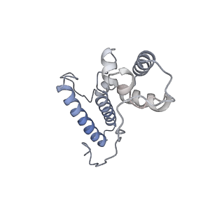 13750_7q0r_O_v1-1
Structure of the Candida albicans 80S ribosome in complex with blasticidin s