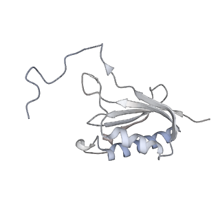 13750_7q0r_P_v1-1
Structure of the Candida albicans 80S ribosome in complex with blasticidin s