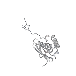 13750_7q0r_R_v1-1
Structure of the Candida albicans 80S ribosome in complex with blasticidin s