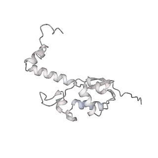 13750_7q0r_T_v1-1
Structure of the Candida albicans 80S ribosome in complex with blasticidin s