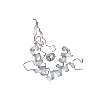 13750_7q0r_U_v1-1
Structure of the Candida albicans 80S ribosome in complex with blasticidin s