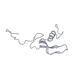 13750_7q0r_W_v1-1
Structure of the Candida albicans 80S ribosome in complex with blasticidin s