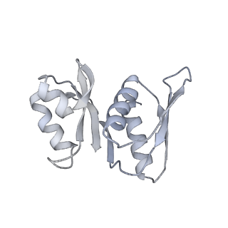 13750_7q0r_X_v1-1
Structure of the Candida albicans 80S ribosome in complex with blasticidin s