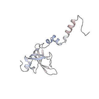 13750_7q0r_Y_v1-1
Structure of the Candida albicans 80S ribosome in complex with blasticidin s