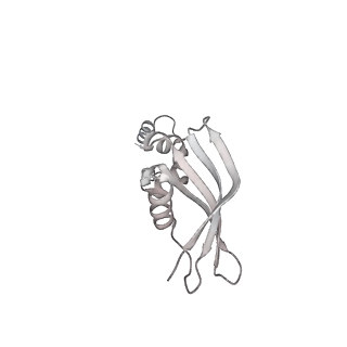 13750_7q0r_Z_v1-1
Structure of the Candida albicans 80S ribosome in complex with blasticidin s