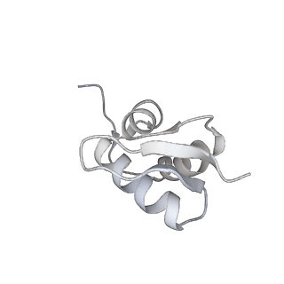 13750_7q0r_a_v1-1
Structure of the Candida albicans 80S ribosome in complex with blasticidin s