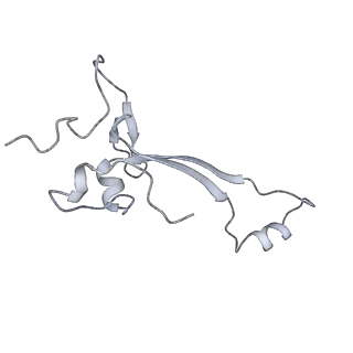 13750_7q0r_b_v1-1
Structure of the Candida albicans 80S ribosome in complex with blasticidin s